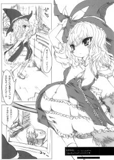 (C76) [The Fuckin Toyzaras (Asano Shimon)] neude (Touhou Project) - page 3