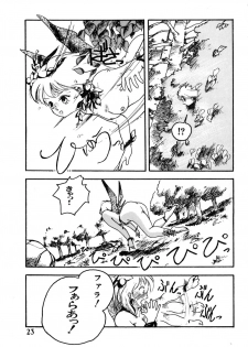 [Hayakawa Mamoru] Rakka Chiten Nite - page 23