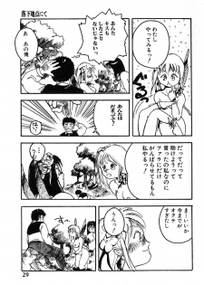 [Hayakawa Mamoru] Rakka Chiten Nite - page 29