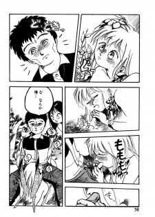 [Hayakawa Mamoru] Rakka Chiten Nite - page 30