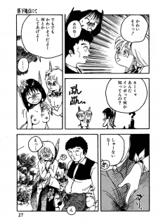 [Hayakawa Mamoru] Rakka Chiten Nite - page 27
