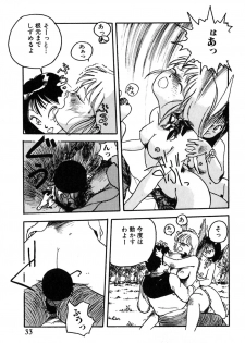 [Hayakawa Mamoru] Rakka Chiten Nite - page 33