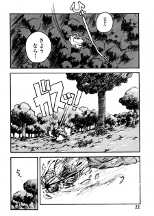 [Hayakawa Mamoru] Rakka Chiten Nite - page 22