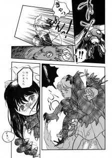 [Hayakawa Mamoru] Rakka Chiten Nite - page 41