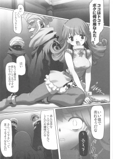 (C81) [Kacchuu Musume (Io Takuya)] Glass no Ori 1 - The cage of glass: 1 (Dragon Quest IV) - page 25
