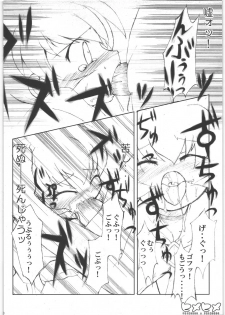(Kanojotachi no Neiro) [IncluDe (Foolest)] Hime hime (Fushigi Boshi no Futago Hime) - page 11