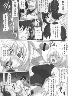 [Kuroi Mono (Akadama)] Fiend IS (Infinite Stratos) - page 13