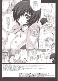 (C81) [Veronica no Ha (Noba)] Fukigen na Rance to, Kurukkuu Mofusu (Rance Quest) - page 18