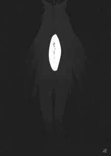 (Kouroumu 7) [Akari wa Honnori Tomoreba Ii (Kurokuro)] Kara no Ana (Touhou Project) - page 25