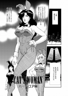 [Rippadou (Liveis Watanabe)] CAT’S WOMAN HARD CORE Hen (Batman, Cat's Eye) - page 6