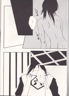 (C65) [Tax inn (Kisu Yoshimitsu)] FALLEN (Bleach) - page 14