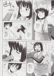(C79) [G-SCAN CORP. (Satou Chagashi)] Le beau maitre 8 (Zero no Tsukaima) - page 15