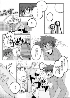 (HaruCC8) [Ishigamiya (Utsugi Iminashi)] Ereki (Digimon Adventure 02) - page 14