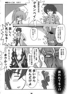 (C65) [RUBBISH Selecting Squad (Namonashi)] Shichuu ni Katsu (Deus Machina Demonbane) - page 29