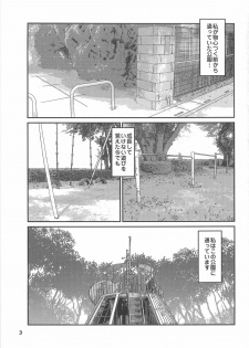 [Masaki Shinji] Daisenkou ~ Shin Dokuhime no Mitsu - page 9