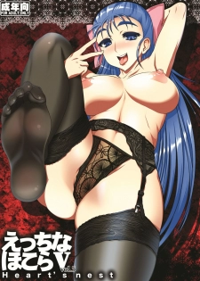 [Heart's nest (hato)] Ecchi na Hokora Vol. 5 (Dragon Quest V) [Digital] - page 1