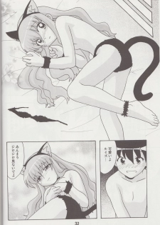 (C74) [Shinohara Heavy Industry (Various)] Louisex (Zero no Tsukaima) - page 31