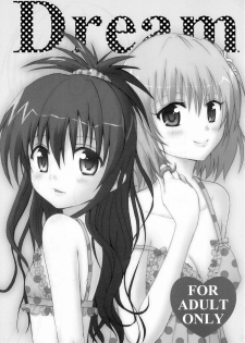 (C80) [CREAR MINT (Hinata Aimi)] Dream (To LOVE-Ru) - page 4