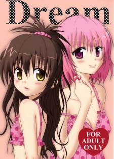 (C80) [CREAR MINT (Hinata Aimi)] Dream (To LOVE-Ru) - page 1