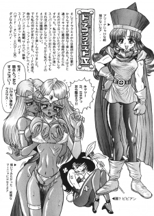 (C58) [Niitakayama Tozan (Niiyama Takashi)] Botsu Rinusu Kin 2 (Dragon Quest) - page 13