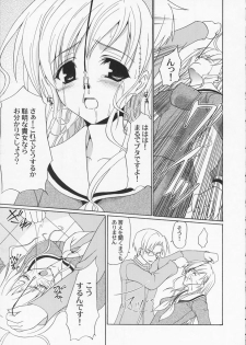 (C65) [Perceptron (Asaga Aoi)] Shiro Bara Milk (Maria-sama ga Miteru) - page 12