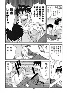 (C55) [Sendouya (Juan Gotoh)] Suntetsu Satsujin (Street Fighter, Darkstalkers) - page 11