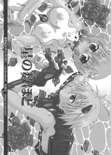 [Luciferhood (Uchoten)] Hoshi no kazu hodo (Neon Genesis Evangelion) - page 3