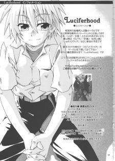 [Luciferhood (Uchoten)] Hoshi no kazu hodo (Neon Genesis Evangelion) - page 29