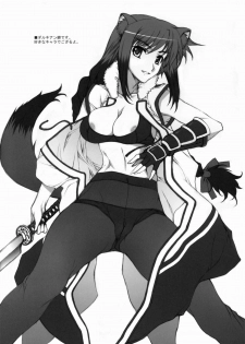 (C80) [BRIEST (Yatsushima Tetsuya)] DDR/01 (DOG DAYS) - page 7