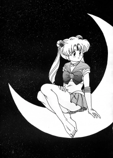 (C43) [Parupunte (Fukada Takushi)] F Spe 18 (Bishoujo Senshi Sailor Moon, Uchuu no Kishi Tekkaman Blade) - page 2