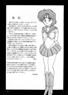 (C43) [Parupunte (Fukada Takushi)] F Spe 18 (Bishoujo Senshi Sailor Moon, Uchuu no Kishi Tekkaman Blade) - page 44