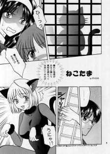 (MOON PHASE) [Bakeda Daigaku (Bakedanuki)] Nekotama (Tsukihime) - page 9