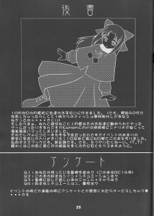 [Studio Black Cats (Tsumori (AZR) Minato)] Black Cats 14 Hanten Kuroneko Musume (Tsukihime) - page 24