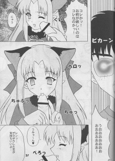 [Studio Black Cats (Tsumori (AZR) Minato)] Black Cats 14 Hanten Kuroneko Musume (Tsukihime) - page 20