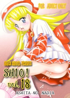 (C64) [Shioya (Shioya Maico)] SHIO! Vol.18 (Ashita no Nadja)