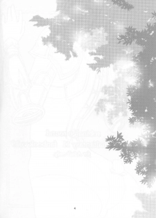 (C75) [Robina go round (Robina)] Otome no Kiss (Final Fantasy XI) - page 3