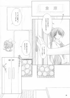 (CR34) [OTOGIYA (Mizuki Haruto)] Dengeki Moreoh (SNOW & With You ~Mitsumete Itai~) - page 25
