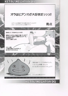 (COMIC1☆6) [Toluene Ittokan (Pierre Norano)] KETSU!MEGATON DQ (Dragon Quest V) - page 24