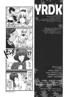 (COMIC1☆6) [HMA (Hiyoshi Hana)] YRDK (Touhou Project) - page 17