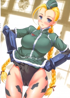 (C82) [STUDIO HUAN (Raidon, Buchou Chinke, Kadou)] SF IV (Street Fighter) - page 42