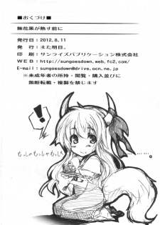 (C82) [Mata Ashita. (Oohira Sunset)] Ichijiku ga jukusu maeni (Touhou Project) - page 21