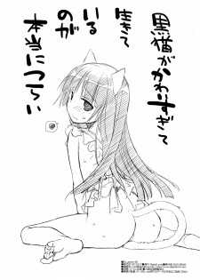 (C82) [Digital Lover (Nakajima Yuka)] D.L.action 69 (Ore no Imouto ga Konna ni Kawaii Wake ga Nai) - page 35