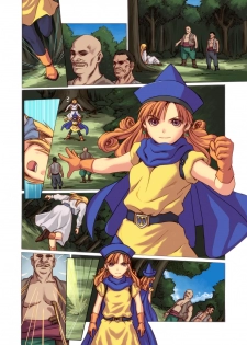 [Spread Happiness] Tomboy Princess (Dragon Quest IV) - page 28
