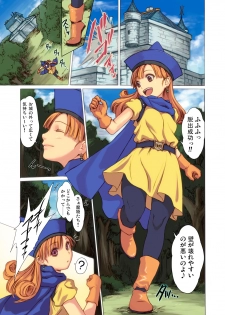 [Spread Happiness] Tomboy Princess (Dragon Quest IV) - page 3