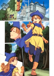[Spread Happiness] Tomboy Princess (Dragon Quest IV) - page 27