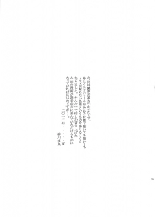 (C82) [Ozashiki (Sunagawa Tara)] Injuu Double Impact (Dragon Quest III) - page 28
