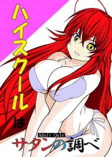 [Desert Fox] High School wa Satan no Shirabe (Highschool DxD) - page 1