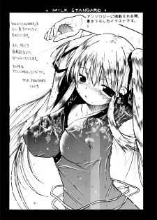 (C73) [MILK STANDARD (Shin'ichi)] Equivalent (Mabinogi) - page 21