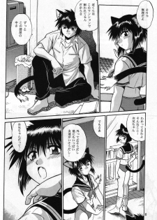 (C67)[Studio Katsudon (Manabe Jouji, Piston,Okiraku Heidan)] Nekomimiansoroji kyou etsu shigoku (Various) - page 5