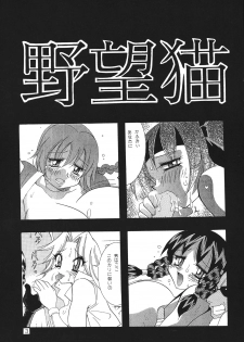 (C60) [Yabougumi (Kawamoto Hiroshi)] Yabou Neko (Dead or Alive) - page 2
